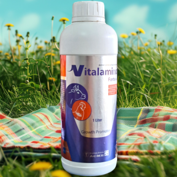 Picture of Vitalamino Fort vet 1 L